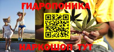 apvp Кунгур