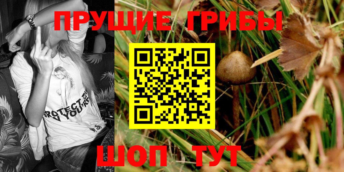Каспийск  Галлюциногенные грибы Cubensis  Вход с VPN  Псилоцибиновые грибы GOLDEN TEACHER 