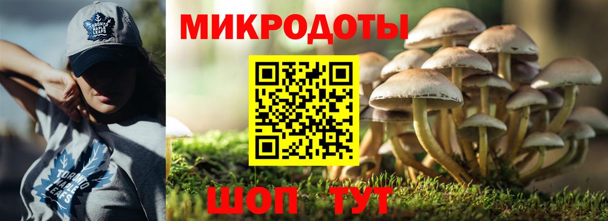 Галлюциногенные грибы GOLDEN TEACHER Каспийск