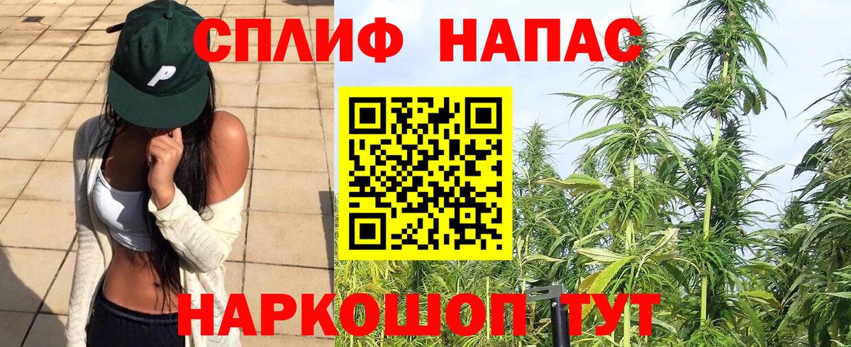 Бошки марихуана ГИДРОПОН  Марихуана OG Kush  Вход с VPN  Бошки Шишки план  Каспийск  Канабис гибрид 